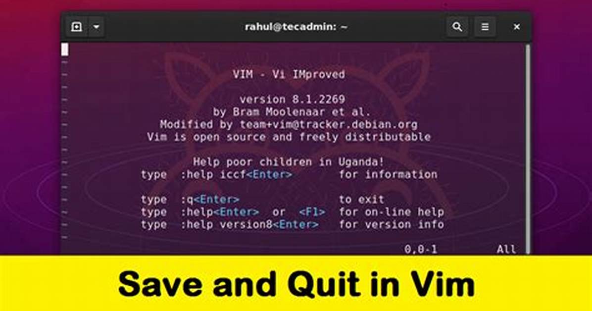 Vim Save and Quit