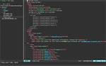 Vim Setting Error Under Bufread