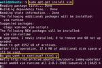 Vim "Write with Sudo" Not Working