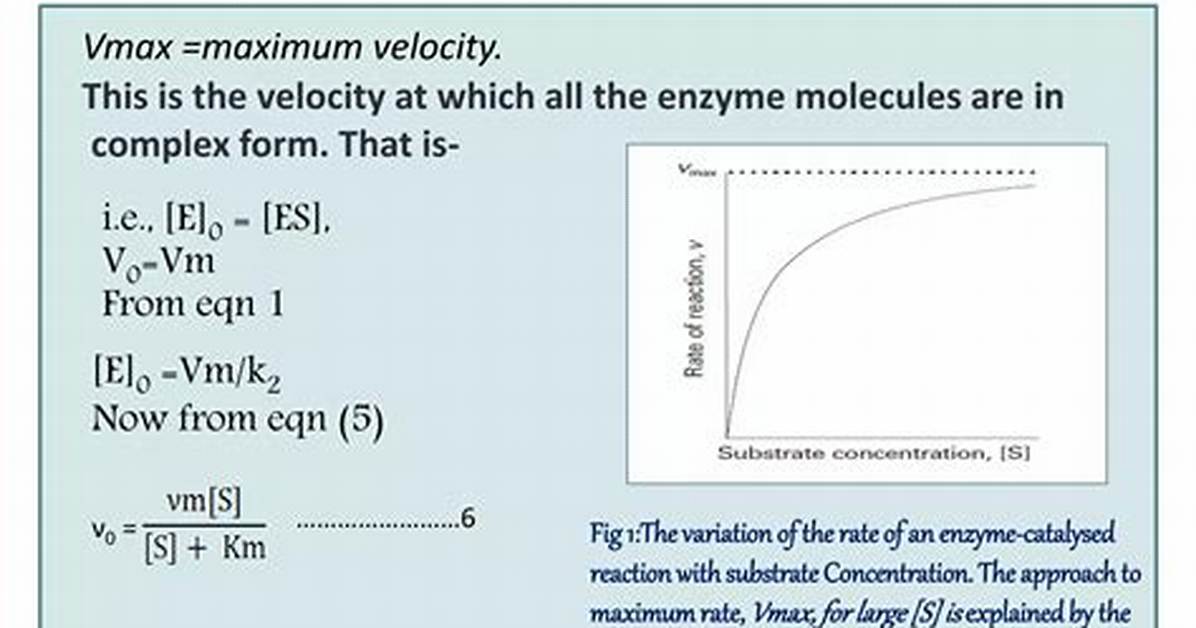 Vmax Equation