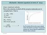 Vmax Equation