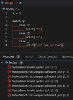Vs Code Python Doesn't Recognize Match Statement