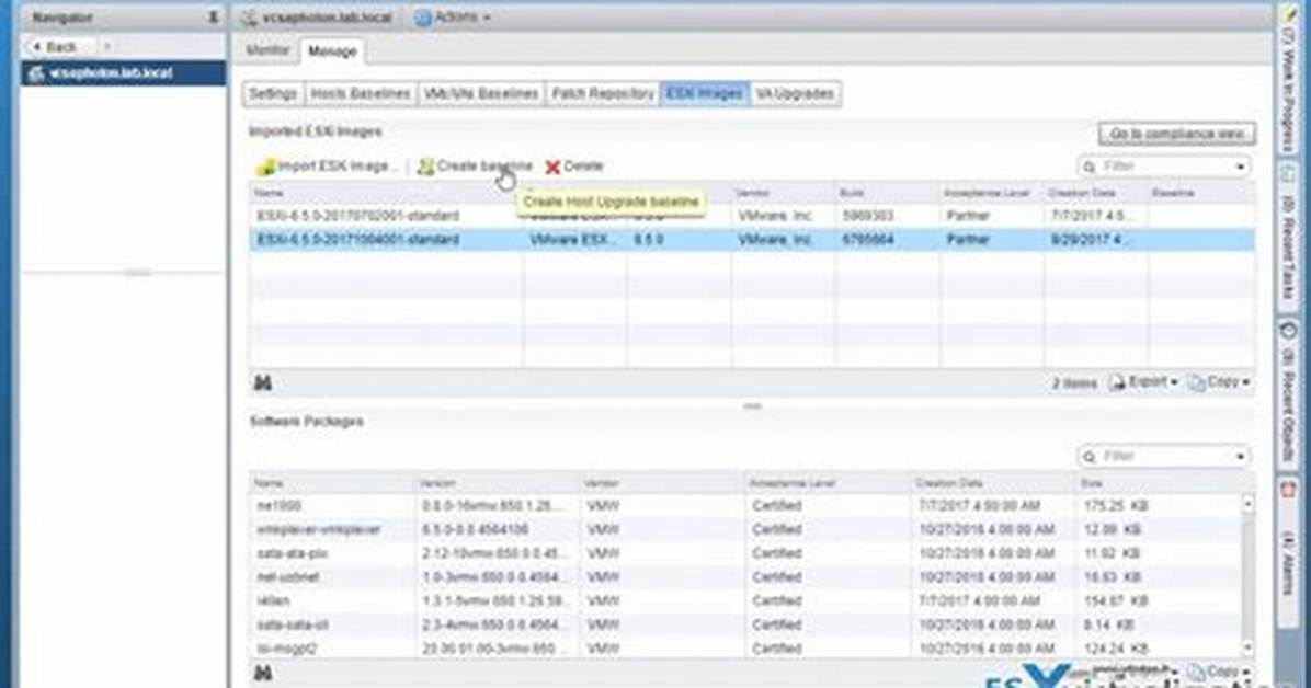 Vsphere Update Manager