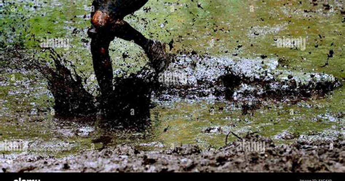 Wade Through Mud