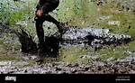Wade Through Mud