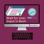 Wait for Input While Executing Bash Script