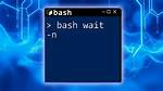 Wait Until Service Starts in Bash-Script