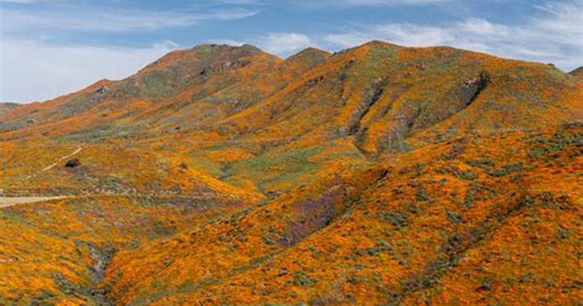 Walker Canyon
