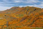 Walker Canyon