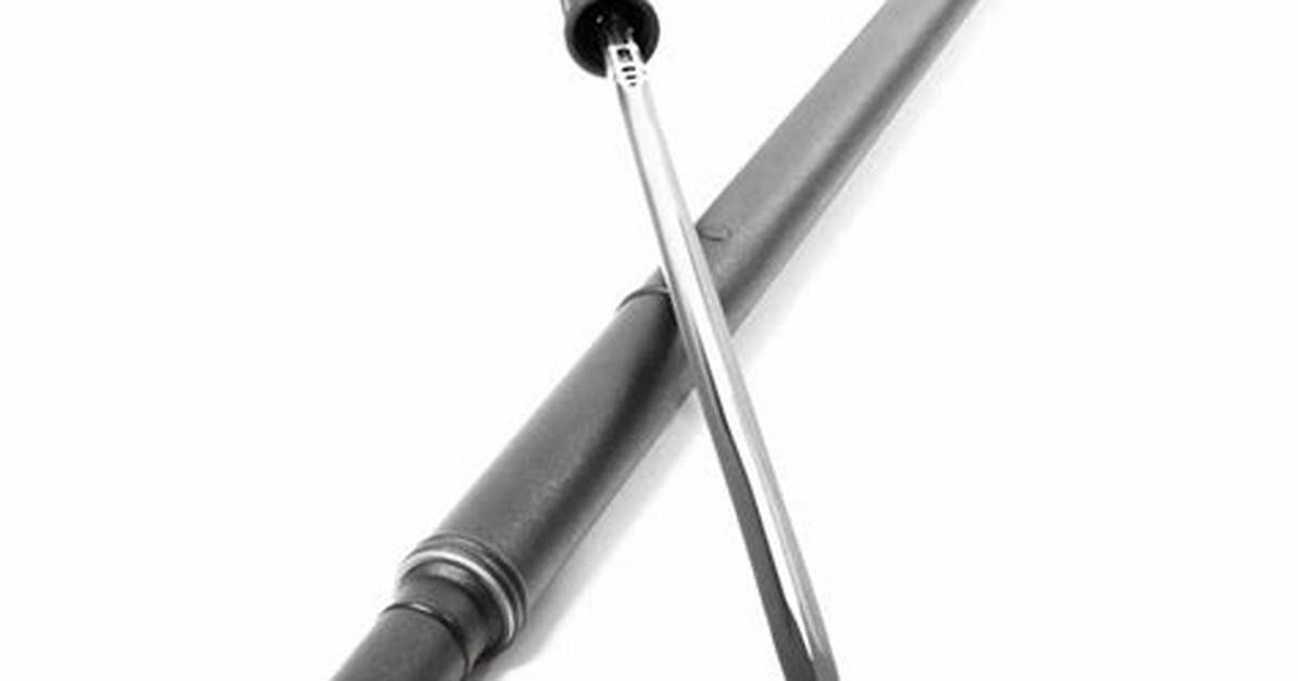 Walking Cane Sword