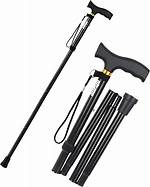 Walking Stick