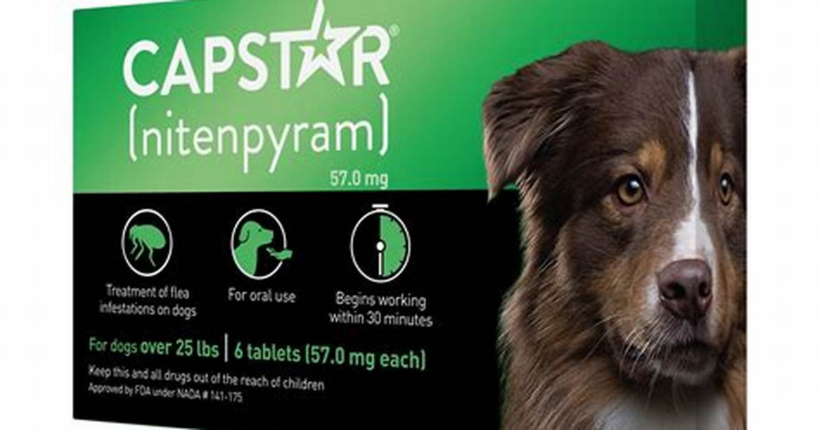 Walmart Capstar