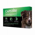 Walmart Capstar