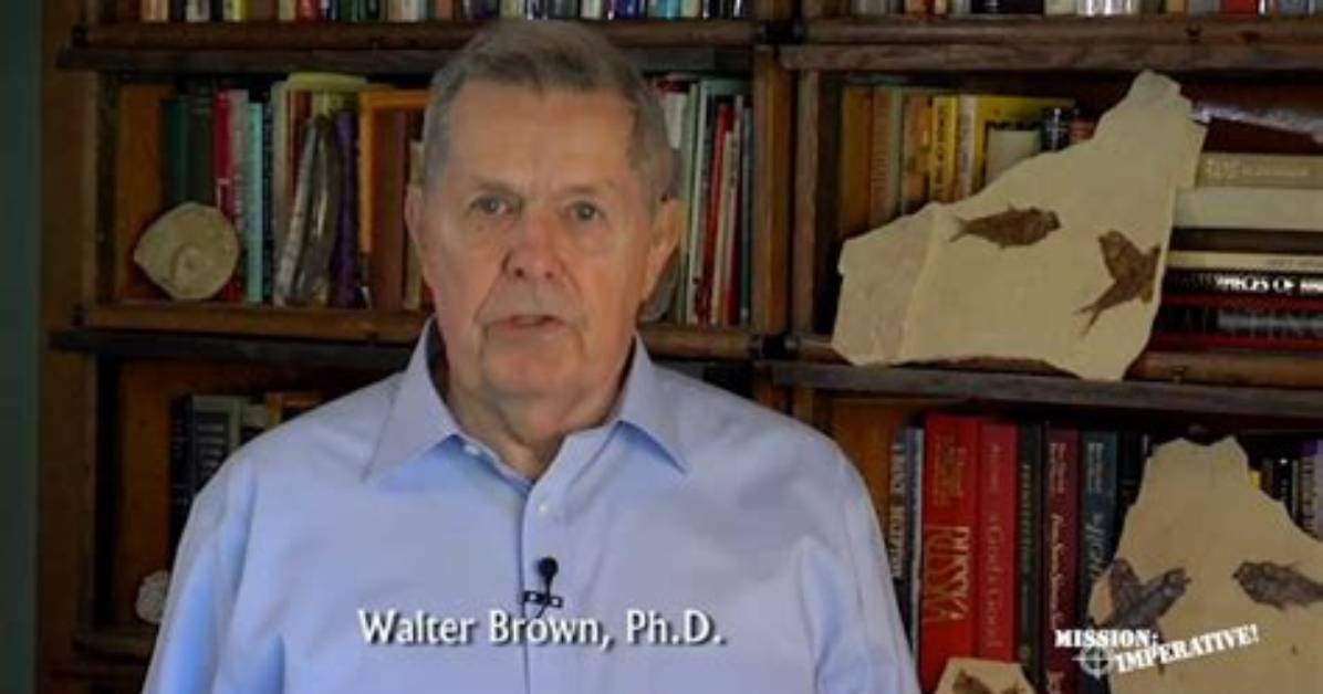 Walt Brown