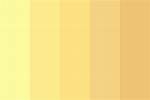 Warm Yellow