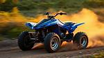 Warrior 350