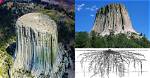 Was Devils Tower a Tree?