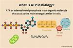 Was Does Atp Mean?