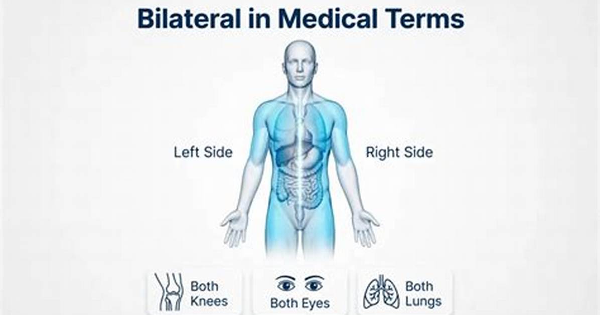 Was Does Bilateral Mean?