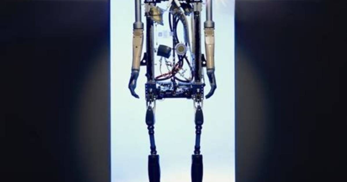 Was Does Bionic Mean?