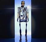 Was Does Bionic Mean?
