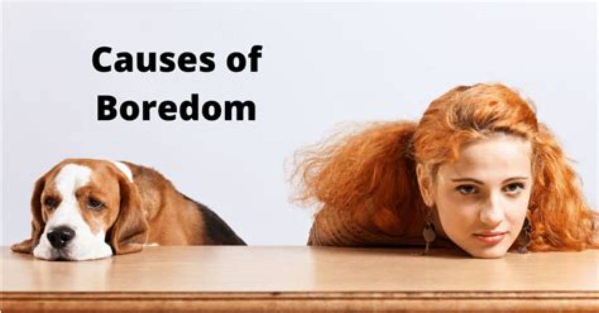Was Does Boredom Mean?