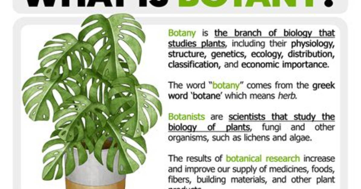 Was Does Botanical Mean?