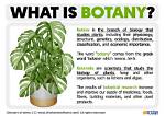 Was Does Botanical Mean?