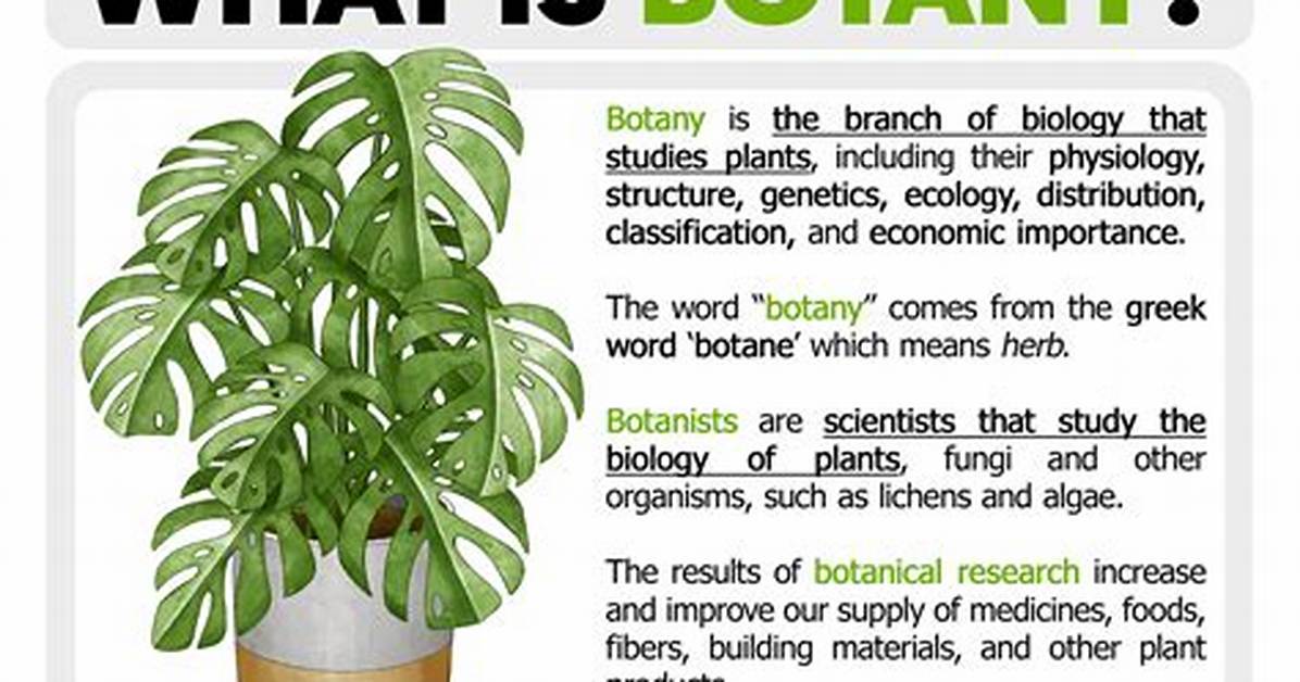 Was Does Botany Mean?