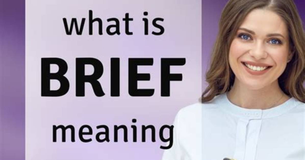 Was Does Brief Mean?