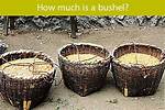 Was Does Bushel Mean?