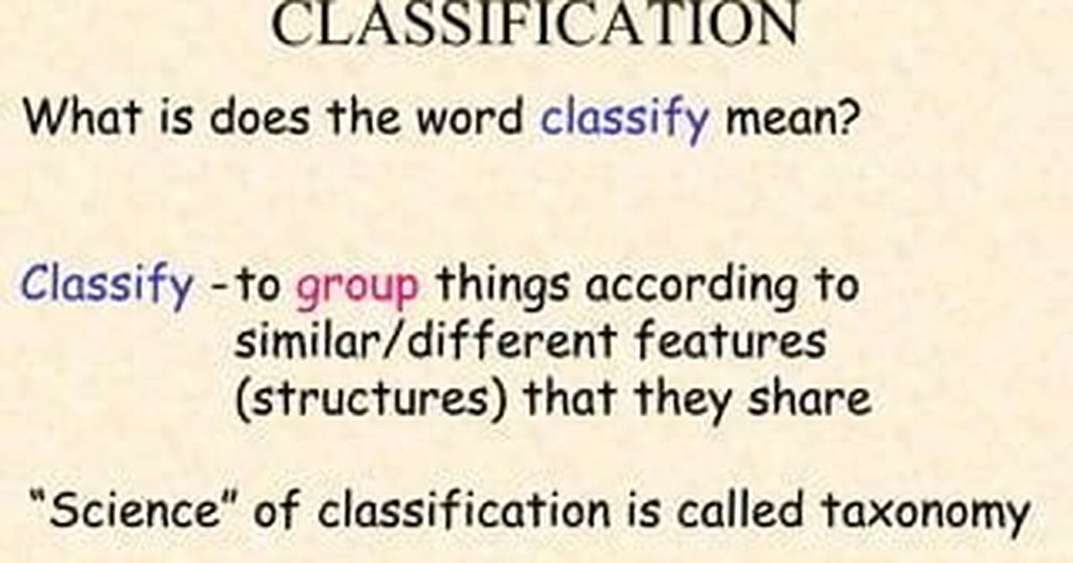 Was Does Classify Mean?