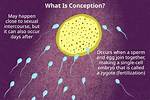 Was Does Conception Mean?
