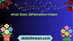 Was Does Defamation Mean?