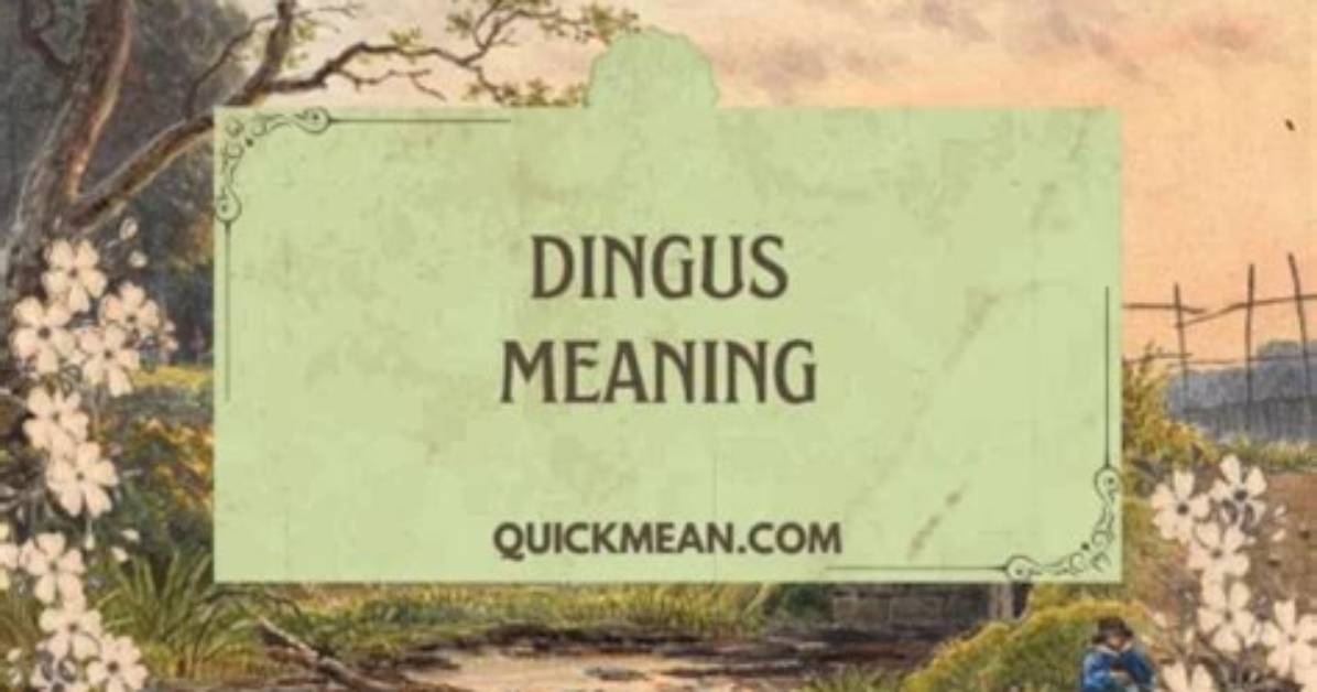 Was Does Dingus Mean?