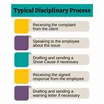 Was Does Disciplinary Mean?