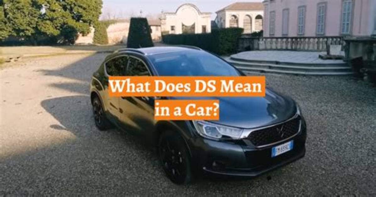 Was Does Ds Mean?