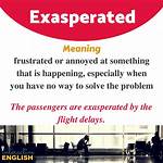 Was Does Exasperated Mean?