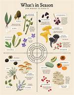 Was Does Foraging Mean?
