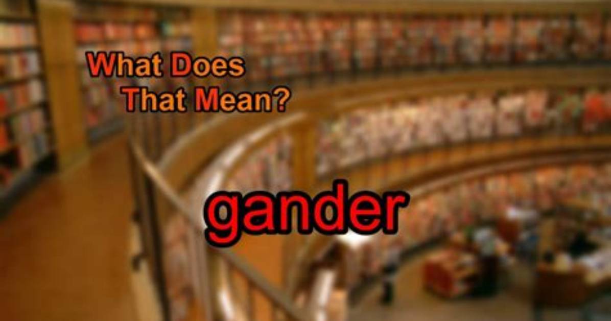 Was Does Gander Mean?