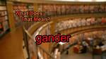 Was Does Gander Mean?