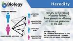 Was Does Heredity Mean?