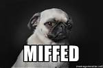 Was Does Miffed Mean?
