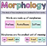 Was Does Morphology Mean?