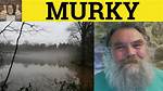 Was Does Murky Mean?