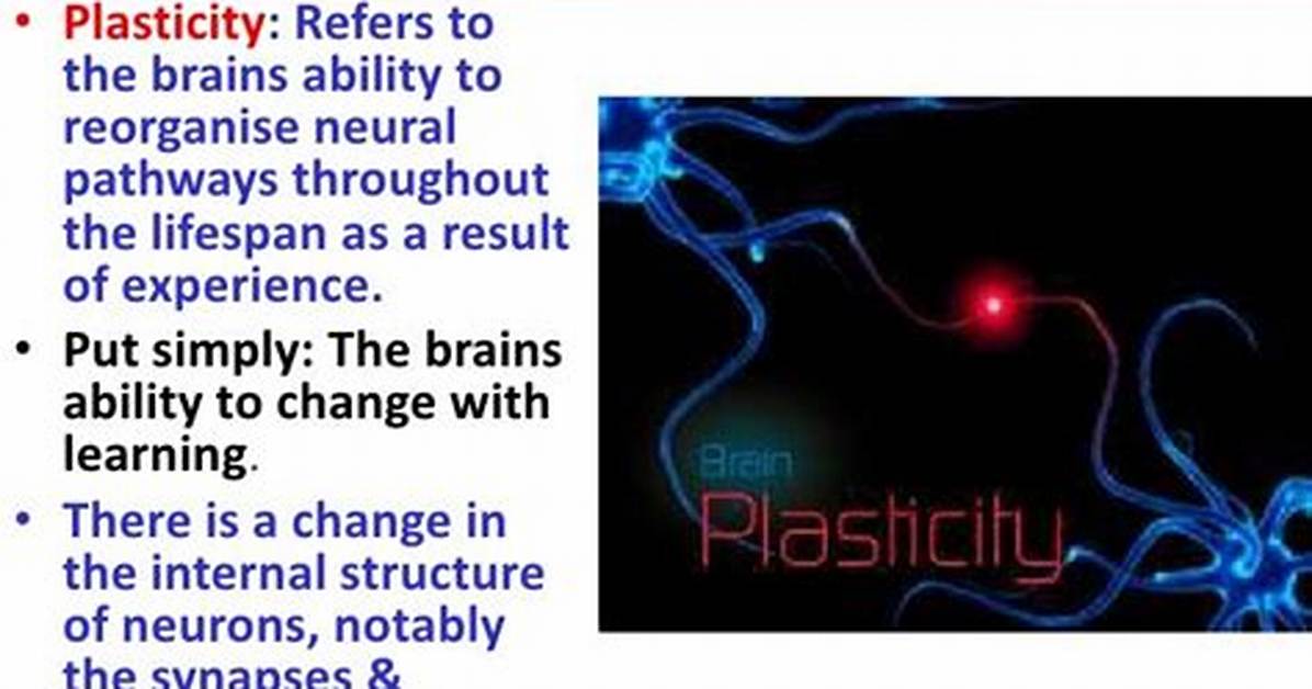 Was Does Plasticity Mean?