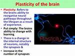 Was Does Plasticity Mean?