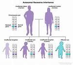 Was Does Recessive Mean?
