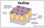 Was Does Sealing Mean?