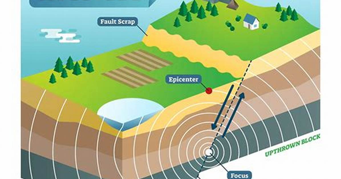 Was Does Seismic Mean?